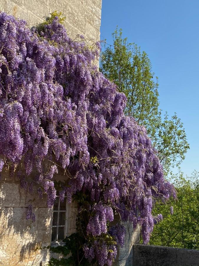 Le Chatenet 1689 Brantôme Εξωτερικό φωτογραφία