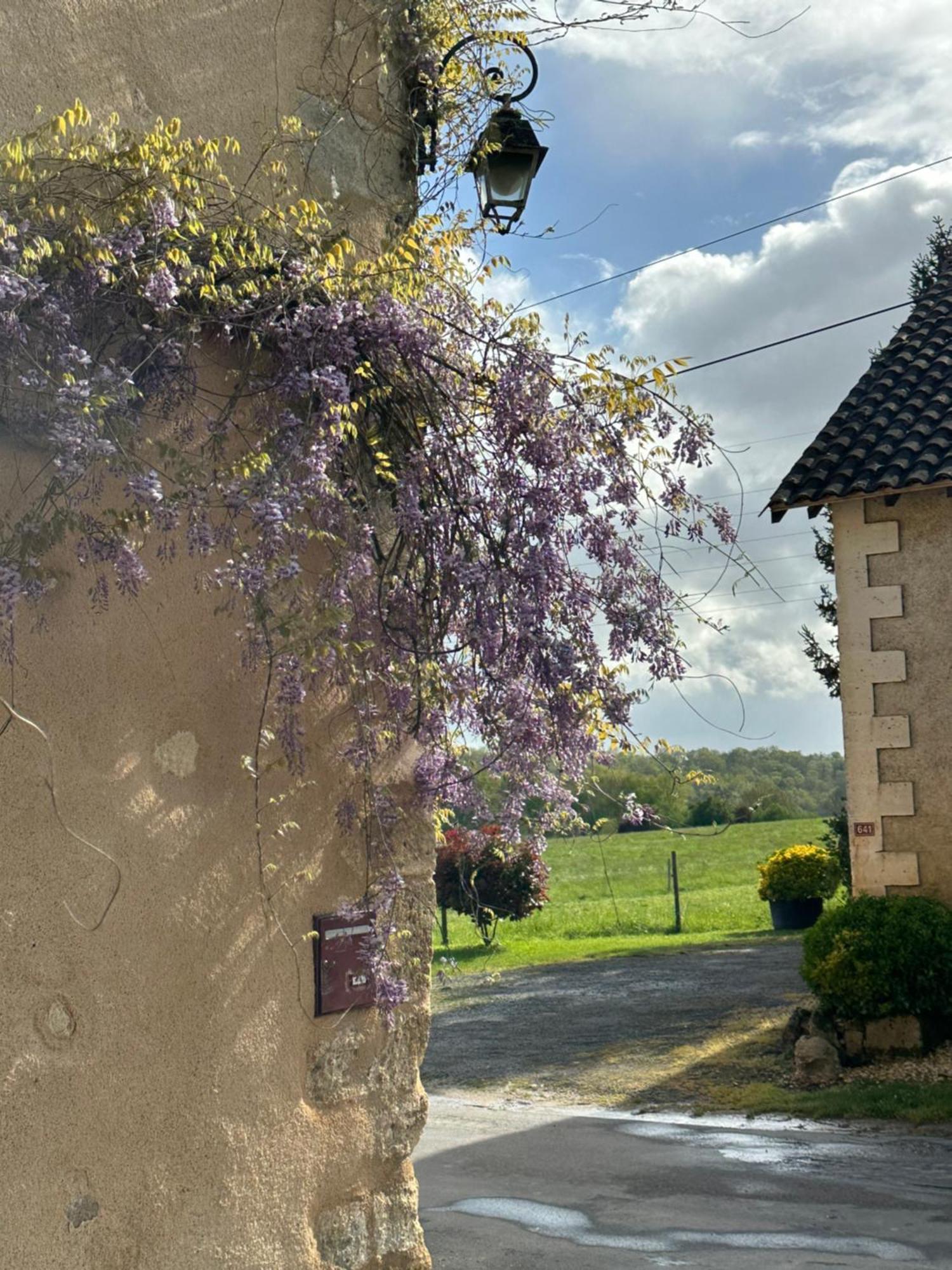 Le Chatenet 1689 Brantôme Εξωτερικό φωτογραφία